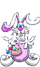 Bunny rabbit