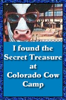 I Found the Secret Treasure
