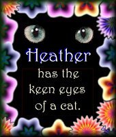I Have the Keen Eyes of a Cat