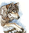 /user/Wolfclass21.gif