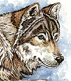 /user/Wolfclass22.gif
