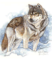 /user/Wolfclass26.gif