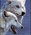 /user/Wolfclass27.gif
