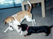 Charlie and Lucy