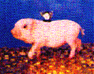 critter27