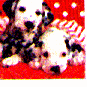 dog4