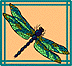 Dragonfly Designs