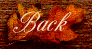 Back Button