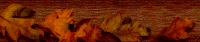 Fall Banner