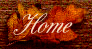 Home Button