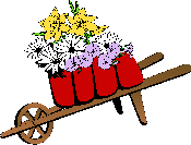 Flower Cart