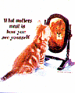 Cat/Lion