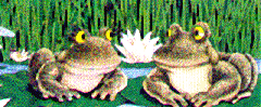 Two Frogs