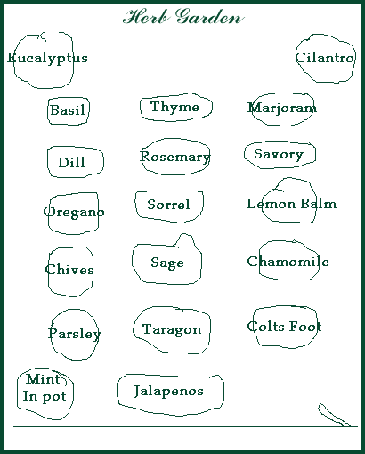 Herb Garden