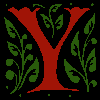 Y