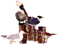 S17