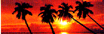 shore01