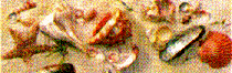 shore05