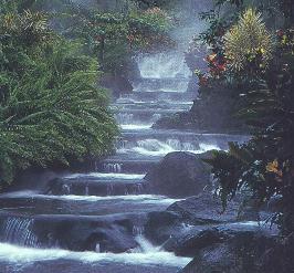 Waterfall-Costa Rica