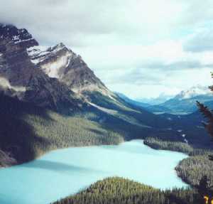 Peyto Lake in British Columbia