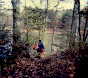 Hernando