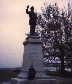Hernando