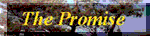 Promise3.gif - 2922 Bytes