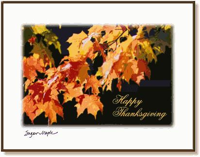 Happy Thanksgiving ~ From Dave!
