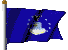 USAF Flag