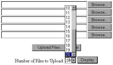 File Manager Screen Shot
