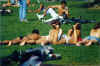 park1.jpg (203124 bytes)