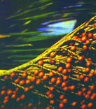 Fruta del moriche