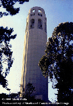 coit tower