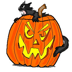 Cat/Pumpkin
