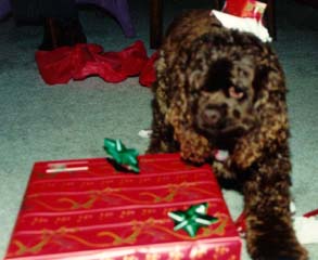 a present!
