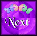 NextButton.gif (15907 bytes)