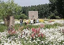Museumsinsel Hombroich