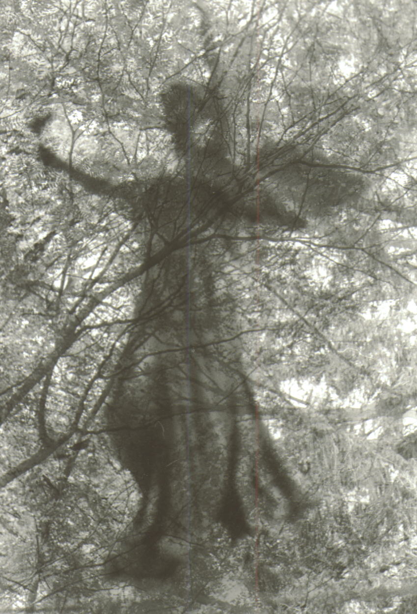 {short description of image}