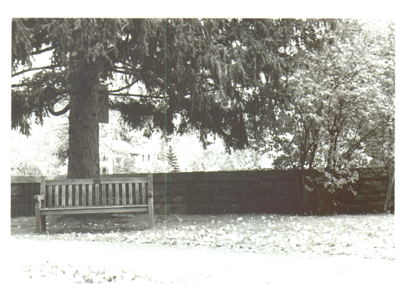 {short description of image}