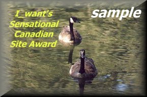 I_want's Terrific Canadian Site Award