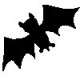 bat.jpg