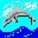 dolphin.jpg