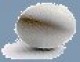 egg-icon.jpg