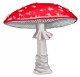 fly-agaric-mushroom.jpg