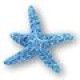starfish1.jpg
