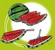 watermelon.jpg