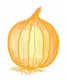 yellow-onion.jpg