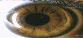 Iridology by Gary Ozarko