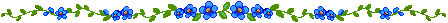 blue flowers