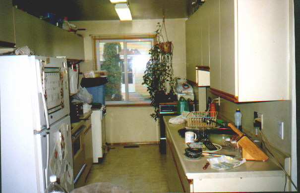 Kitchen Before Terry Flew In